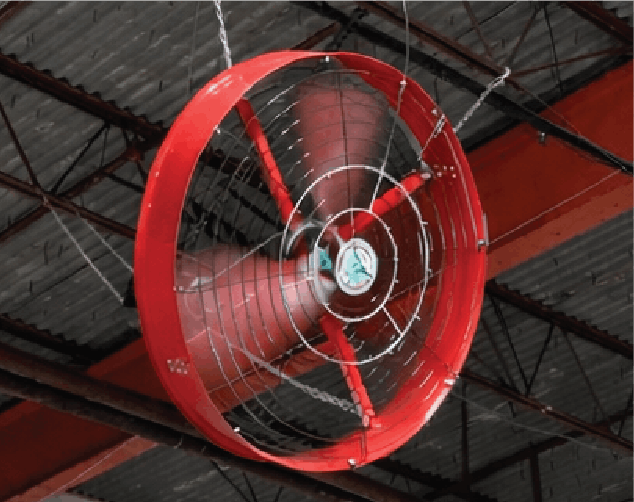 Fan Image 1